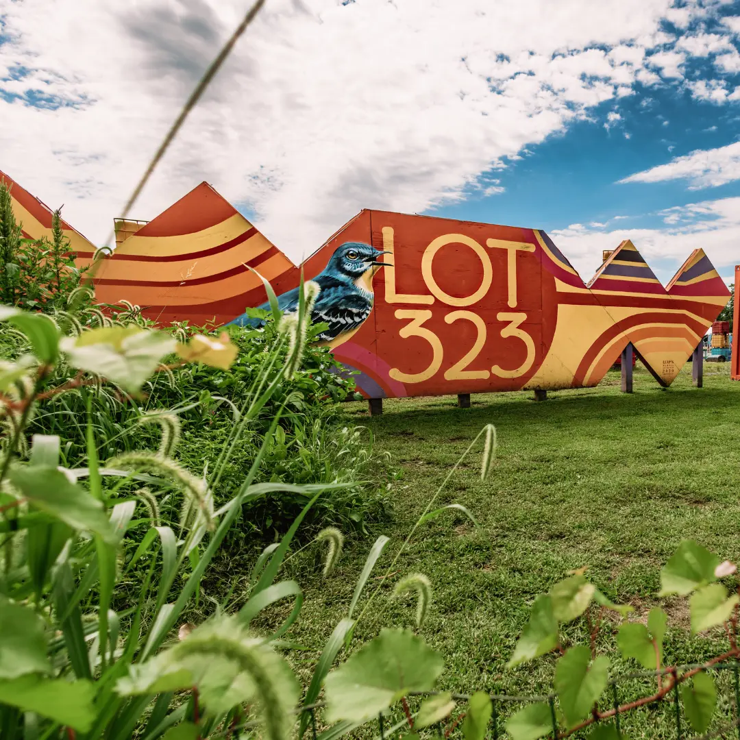 lot 323 (1) lot 323 1