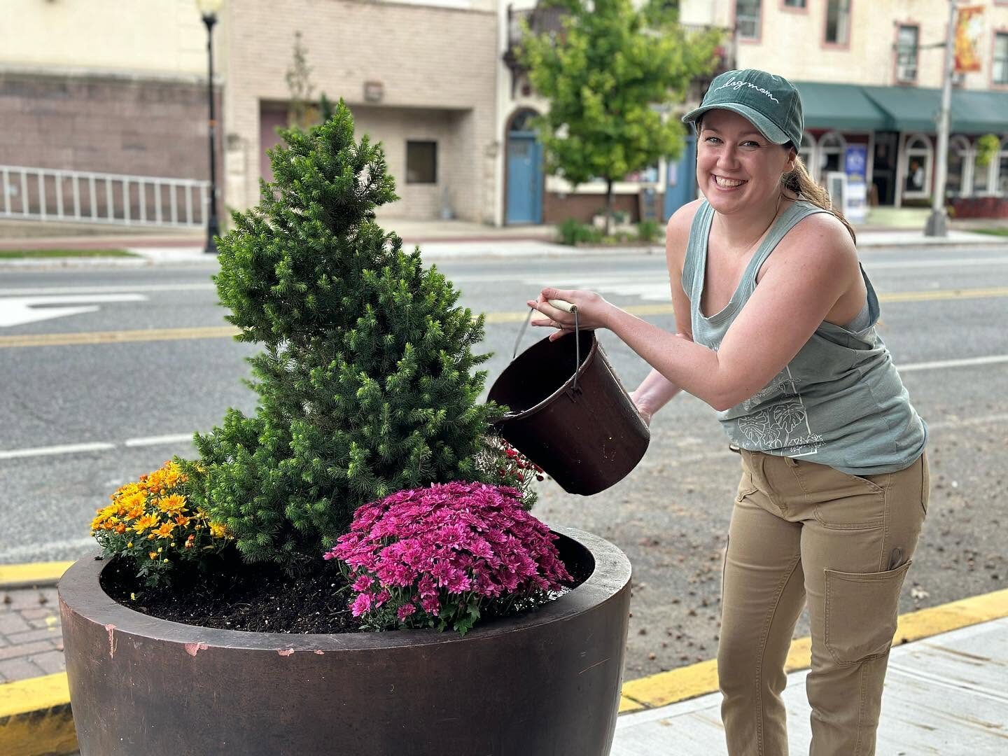 Volunteer Watering Downtown Sidewalk Planter A smiling volunteer waters a sidewalk planter of pink and orange mums along a downtown street.